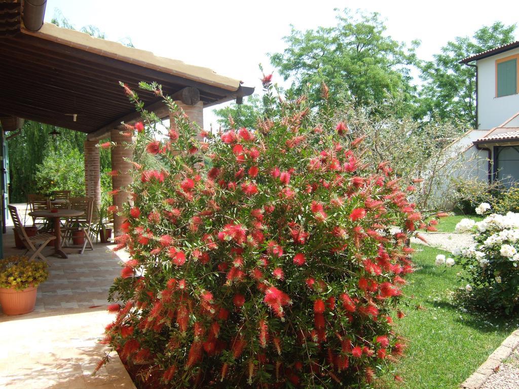 Agriturismo Quartopodere Vila Magliano in Toscana Exterior foto